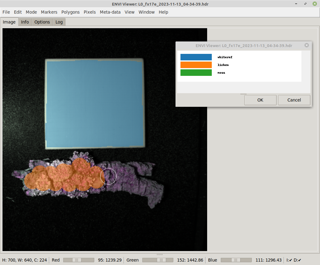 Envi Viewer - pixel annotation in progress